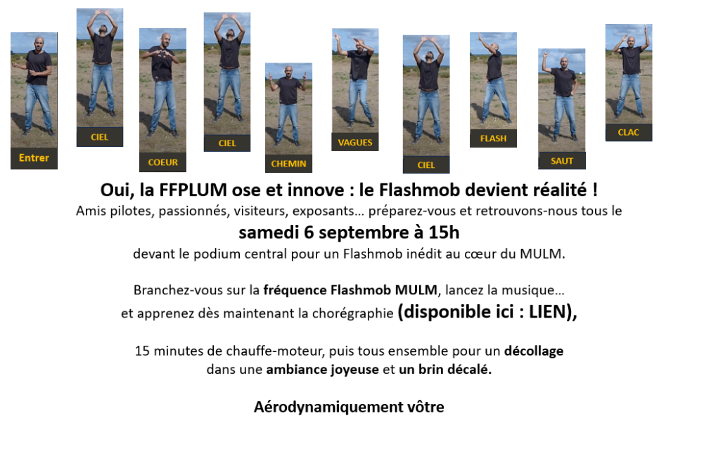 flash-mob-pancarte.jpeg